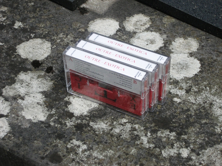 http://frissonscassettes.com/files/gimgs/th-35_cassette exotica 19.jpg