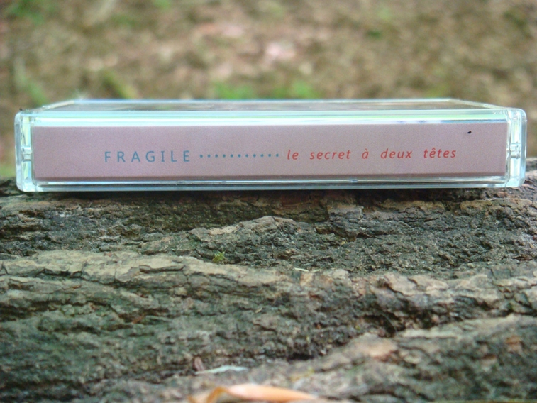 http://frissonscassettes.com/files/gimgs/th-32_FRAGILE cassette 14-1.jpg